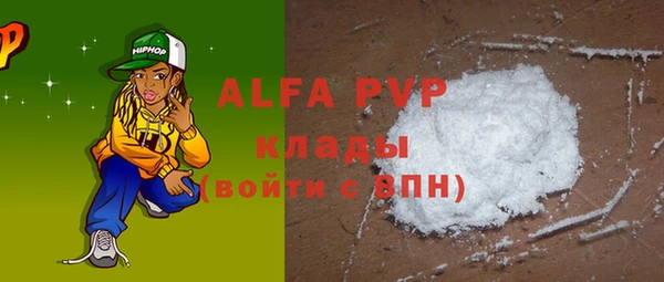 дживик Новозыбков
