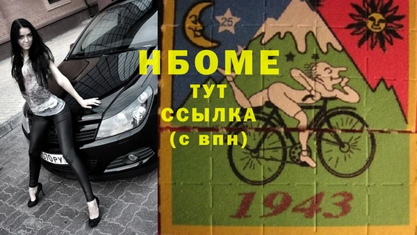 дживик Новозыбков