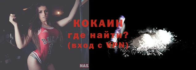 дживик Новозыбков