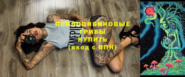 таблы Чердынь