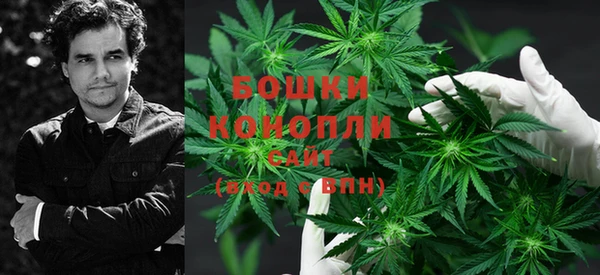 дживик Новозыбков