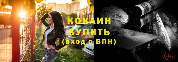 дживик Новозыбков