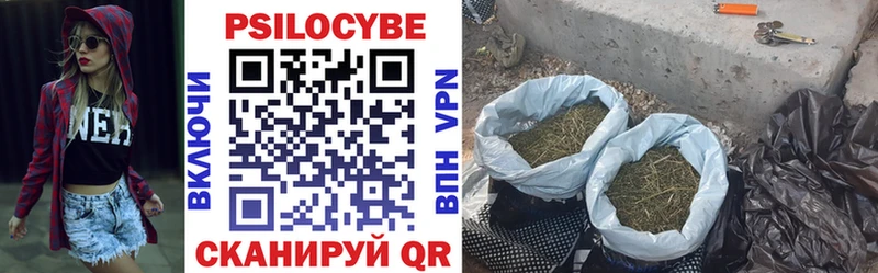 купить   Ярославль  Галлюциногенные грибы Psilocybe 